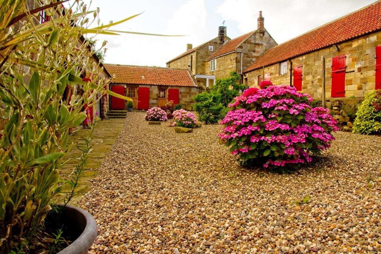 Spangle Cottage, Borrowby Farm Cottages 斯泰兹 外观 照片