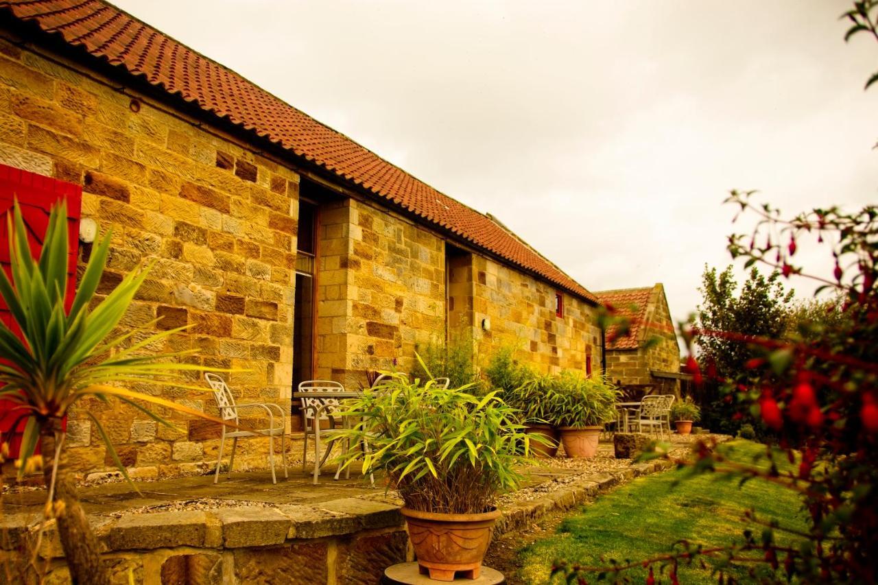 Spangle Cottage, Borrowby Farm Cottages 斯泰兹 外观 照片